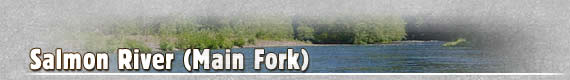 Main Fork of the Salmon River