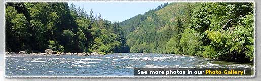 McKenzie River Photo