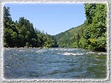 A beautiful view from one of our recent rafting trips down the McKenzie.