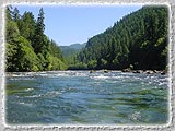 McKenzie River Scene